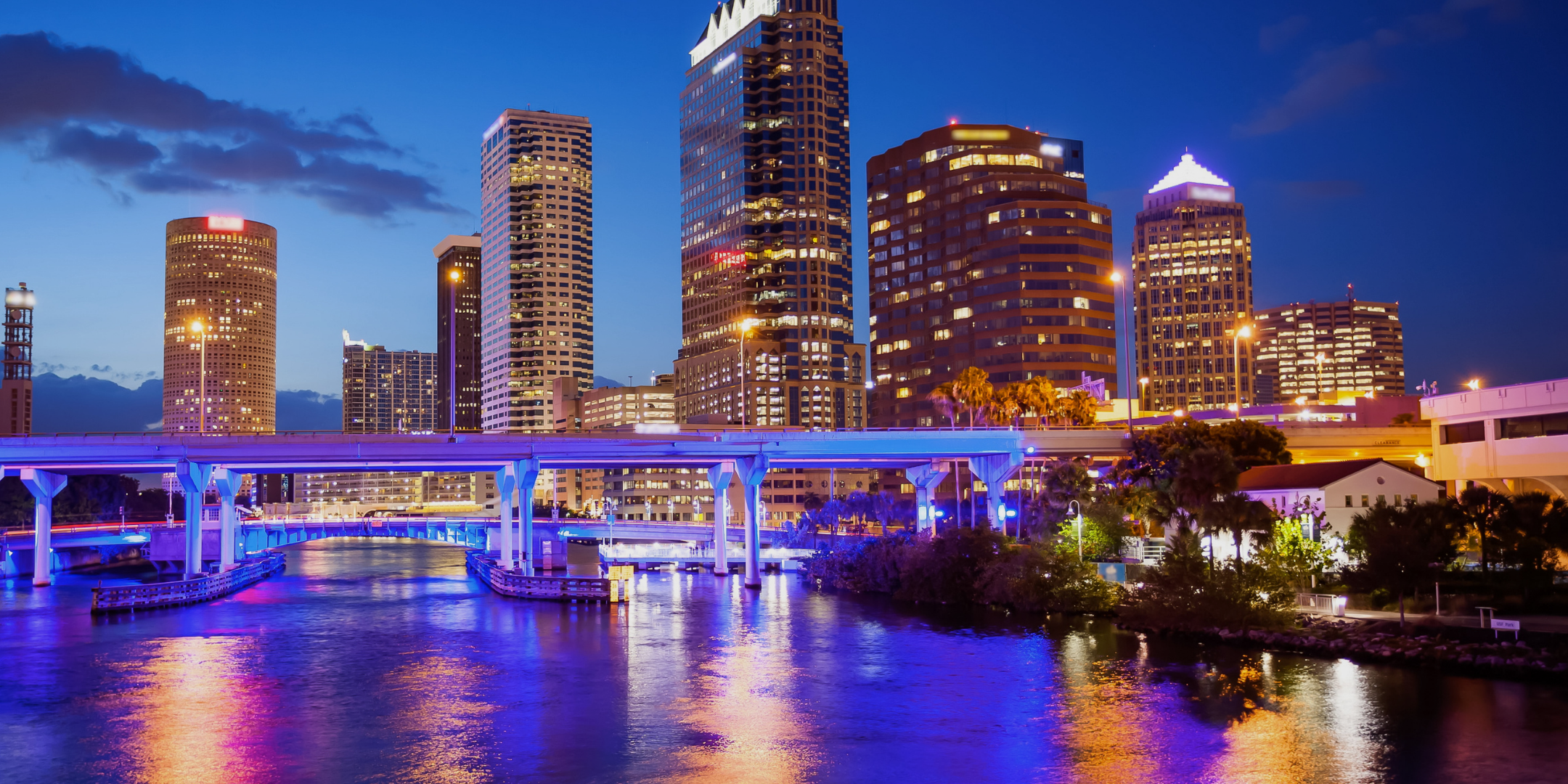 Disrupt Tampa 2023  (1)
